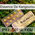 Kangaroo Essence new06